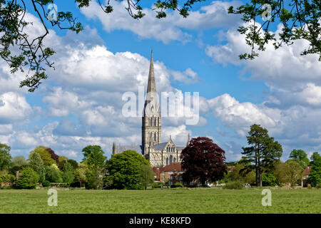 Salisbury, Wiltshire, UK - May 13 2017: Salisbury Cathedral, Wiltshire, United Kingdom, as seen from the Harnham Water Meadows. Stock Photo
