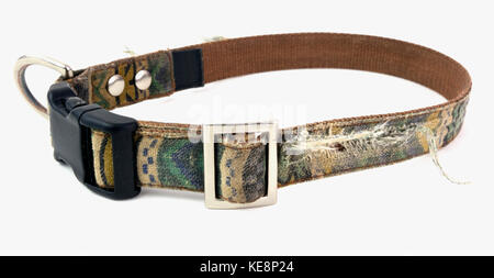 Worn and scruffy dog collar needs to be replaced. Isolated. Stock Photo