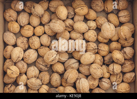 Fresh harvested walnuts in a box. Close up. Stock Photo