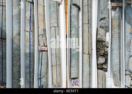 Drill cores classified in a box Stock Photo
