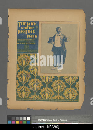The lady with the rag time walk (NYPL Hades 609907 1255765) Stock Photo