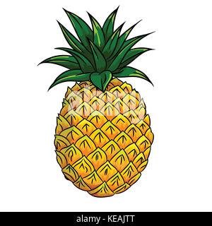 Hand drawn sketch of Pineapple isolated, Black and White Cartoon Vector Illustration for Coloring Book - Line Drawn Vector Stock Vector
