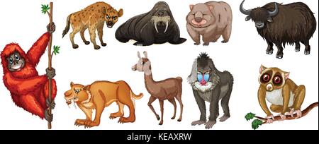 Different kind of wild animals around the world Stock Vector