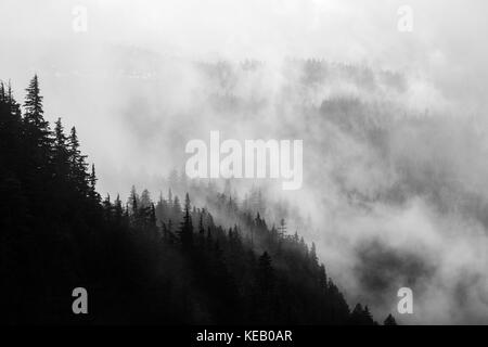 Low clouds and mist hang over the Willamette National Forest in Central Oregon during a rainy Spring day. Stock Photo