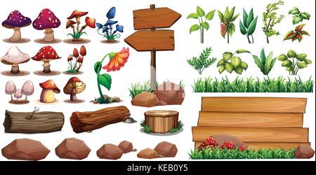 Mushrooms and different kinds of plants Stock Vector