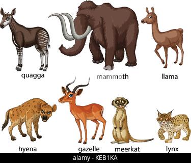 Illustration of many types of animals Stock Vector