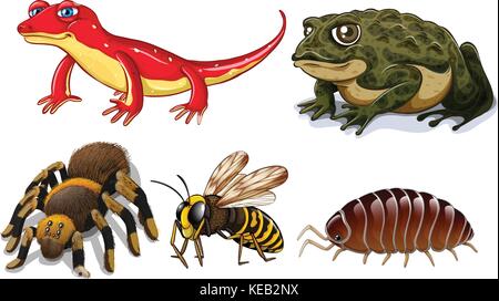 Set of different types of animals on white background illustration