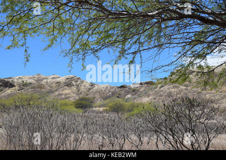 Hiking up to the summit of Diamond Head on the island of Oahu, Hawaii, offers spectacular views of the ocean below. Stock Photo