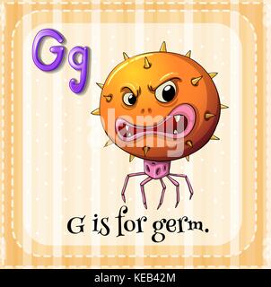 Flashcard alphabet G is for germ Stock Vector