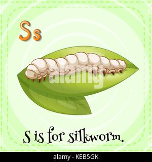 Flashcard of a letter S with a picture of silkworm on a leaf Stock Vector