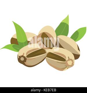 Pistachios on white Stock Vector