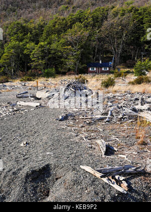 Beach on shore of Lago Argentino, with driftwood and red painted cabin in woodland Stock Photo