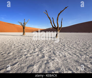 Dead Acacia Trees and Red Dunes of Deadvlei in Namib-Naukluft Park, Namibia Stock Photo