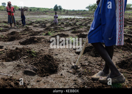 MOZAMBIQUE, Moatize, the village Chipanga was resettled by VALE coal mining, a brazil company, the new settlement Cateme built by Vale is 40 km far, Jose and his family is still planting maize on their old farm in Chipanga, but they are not sure if the can harvest it breore the bulldozer will come again / MOSAMBIK, Moatize, fuer die Erweiterung der Kohlemine des brasilianischen Unternehmens VALE wird die Ortschaft Chipanga abgerissen, die Bewohner werden 40 km von Moatize enfernt nach Cateme umgesiedelt, Jose und seine Familie pflanzen Mais solange es geht Stock Photo