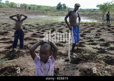 MOZAMBIQUE, Moatize, the village Chipanga was resettled by VALE coal mining, a brazil company, the new settlement Cateme built by Vale is 40 km far, Jose and his family is still planting maize on their old farm in Chipanga, but they are not sure if the can harvest it breore the bulldozer will come again / MOSAMBIK, Moatize, fuer die Erweiterung der Kohlemine des brasilianischen Unternehmens VALE wird die Ortschaft Chipanga abgerissen, die Bewohner werden 40 km von Moatize enfernt nach Cateme umgesiedelt, Jose und seine Familie pflanzen Mais solange es geht Stock Photo