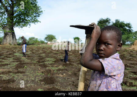 MOZAMBIQUE, Moatize, the village Chipanga was resettled by VALE coal mining, a brazil company, the new settlement Cateme built by Vale is 40 km far, Jose and his family is still planting maize on their old farm in Chipanga, but they are not sure if the can harvest it breore the bulldozer will come again / MOSAMBIK, Moatize, fuer die Erweiterung der Kohlemine des brasilianischen Unternehmens VALE wird die Ortschaft Chipanga abgerissen, die Bewohner werden 40 km von Moatize enfernt nach Cateme umgesiedelt, Jose und seine Familie pflanzen Mais solange es geht Stock Photo