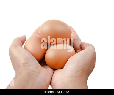 egg in hand isolated on white background. Stock Photo