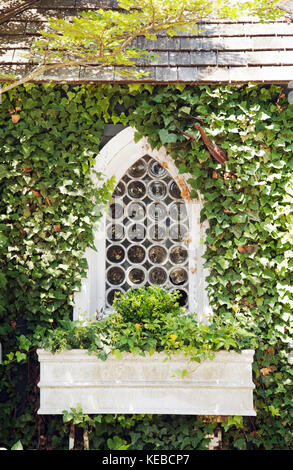 Arched Window with Vine Stock Photo