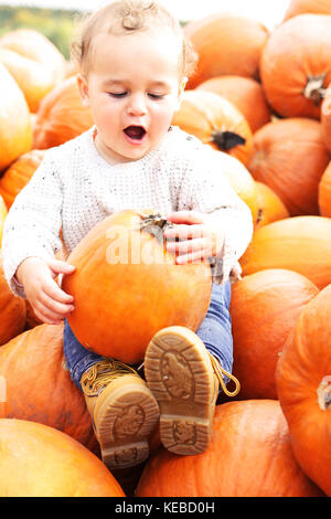 Happy little boy in pumpkin field picking pumpkins Stock Photo