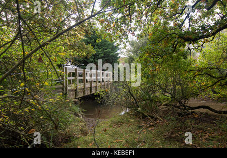 Autumnal colour in rural woodland , bridge across river framed by trees - photo Stock Photo