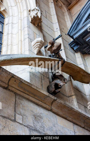 KRAKOW, POLAND - JUNE, 2012: Mythical dragon bones Stock Photo