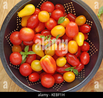 Various shapes and colors of cherry tomatoes from overhead with miniature basil leaves Stock Photo