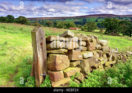 A traditional dry stone wall on Westerdale Moor in the North Yorkshire Moors, England Stock Photo