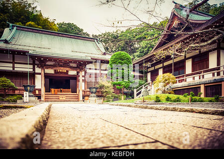 Hōkoku-ji is an old temple in the Kenchō-ji school of the Rinzai sect of Zen Buddhism located in Kamakura, Japan. Famous for its bamboo garden. Stock Photo