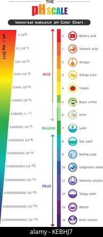 Ph scale universal indicator color chart Vector Image