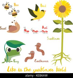 Animal in the sunflower field cartoon illustration design Stock Vector