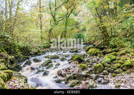 Long exposure of fast runing River Twiss, Ingleton, Yorkshire Dales Stock Photo