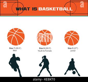 basketball infographic template