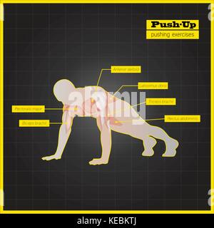 Antagonistic muscle exercises and Workouts Stock Vector