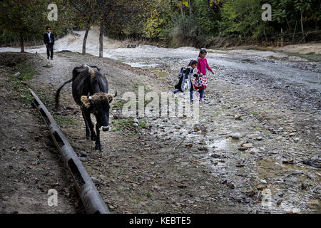 Beshkent, Kyrgyzstan. 12th Oct, 2016. Children returning from school have to cross a river which is also the source of household water in Beshkent, Kyrgyzstan. The water is vulnerable to contamination from trash and bacteria that cause hepatitis and other water-borne illnesses. In villages across Kyrgyzstan (Central Asia) antiquated water delivery systems and infrastructure is the cause of health issues such as outbreaks of hepatitis and gastrointestinal disease, especially among children. Credit: Jodi Hilton/SOPA/ZUMA Wire/Alamy Live News Stock Photo