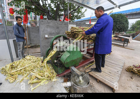 Yiwu, China's Zhejiang Province. 19th Oct, 2017. Workers process sugarcane in a brown sugar factory at Shangyang Village in Yiwu City, east China's Zhejiang Province, Oct. 19, 2017. Local villagers in Yiwu produce brown sugar productions from late October to the end of December through their traditional method, which has a history of over 300 years. Credit: Xu Yu/Xinhua/Alamy Live News Stock Photo