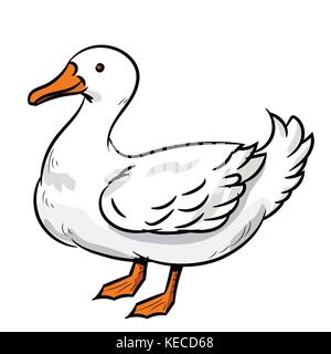 Illustration of Duck standing Isolated on white background. Children's illustration. Vector. Stock Vector