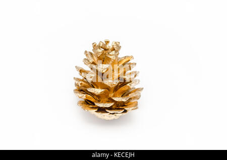 one golden pine cone on a white background Stock Photo