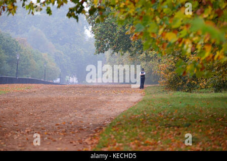 Female police officer in Hyde Park in Autumn Fall along a carriage track formerly King's Private Road and Rotten Row. Alone Stock Photo