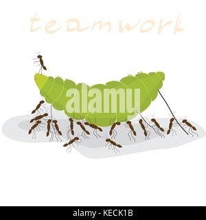 many ants dragging a green caterpillar on a white background, inscription teamwork Stock Vector