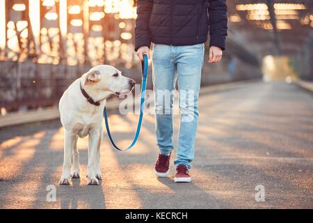 Morning walk with dog. Young man with his labrador retriever on the iron bridge at the sunrise. Stock Photo