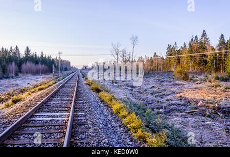 Frosty morning sunrise at the traintracks leading into the unknown distance in sweden - scandinavia Stock Photo