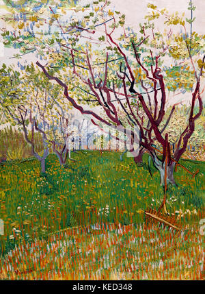 The Flowering Orchard, 1888, by Vincent van Gogh Stock Photo - Alamy