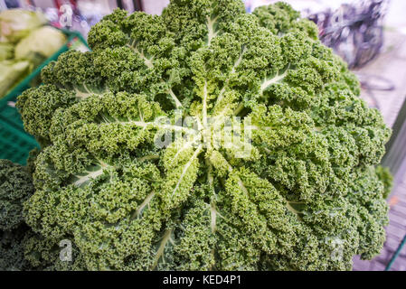 The head of a green kale on the market in full. Stock Photo