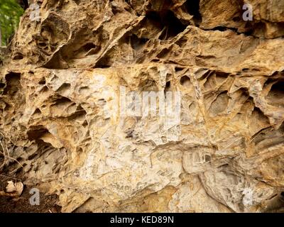 Sandstone texture detail,  nature errosion. Closeup rock erosion holes sea wall. Texture background. Stock Photo