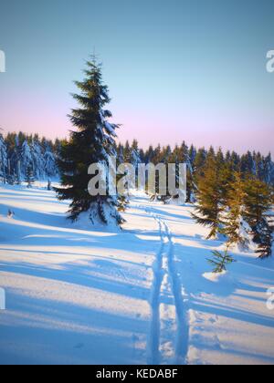 Two ways for cross country skiing in winter mountains. Wintry landscape with cross country skiing ways between trees. Stock Photo