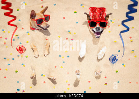 couple of two  dogs buried in the sand at the beach on happy new years eve , confetti and serpentine streamers all over the place Stock Photo