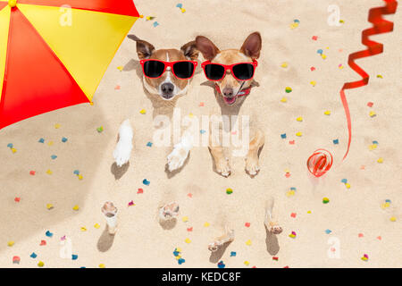 couple of two  dogs buried in the sand at the beach on happy new years eve , confetti and serpentine streamers all over the place Stock Photo