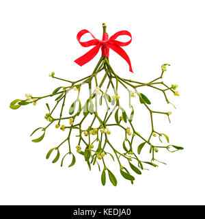 Photo of a bunch of Mistletoe tied with a red ribbon bow, isolated on a white background. Stock Photo