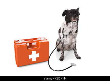 Dog With Stethoscope And First Aid Kit Over White Background Stock Photo
