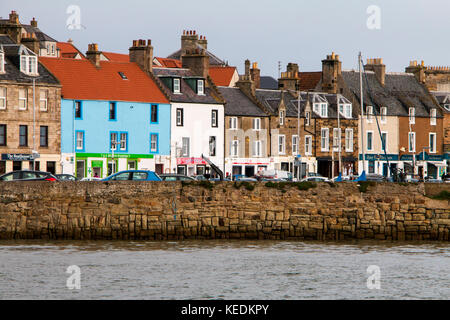 sea safari anstruther